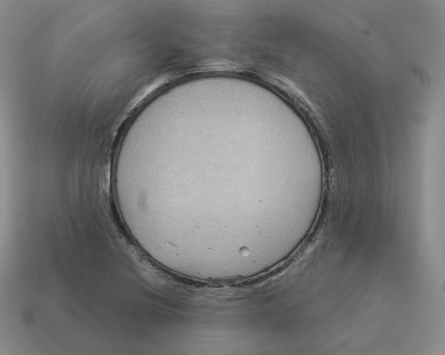 X0000114211220200911061438