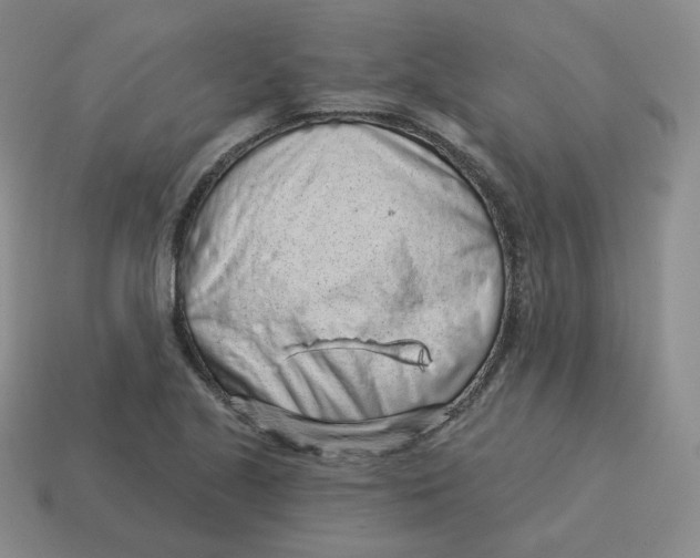 X0000114211221200911061438