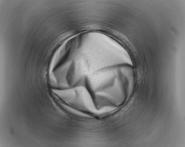 X0000114211225200911061438