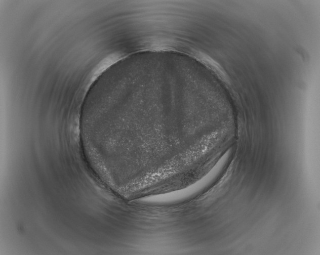 X0000114211226200911061438