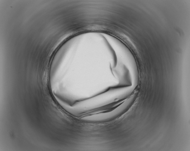 X0000114211228200911061438