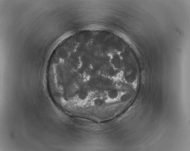 X0000114211229200911061438