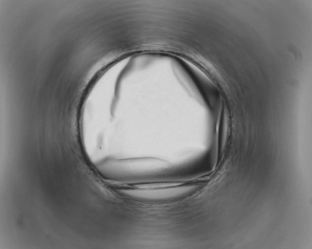 X0000114211230200911061438