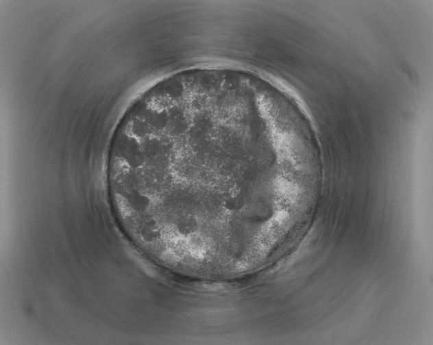 X0000114211231200911061438