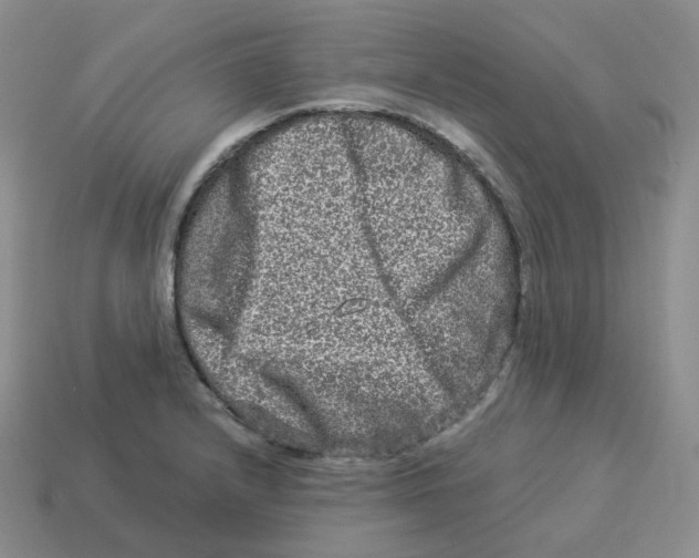 X0000114211232200911061438