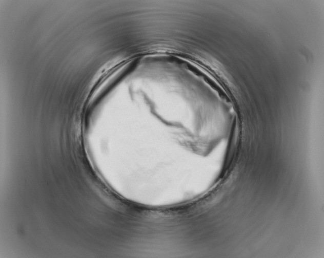 X0000114211234200911061438