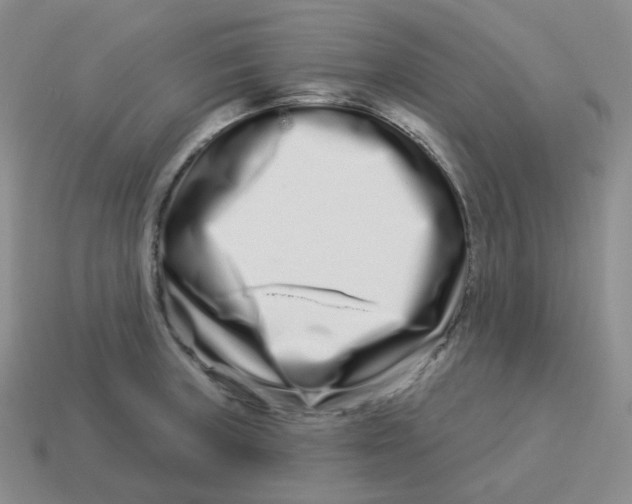 X0000114211235200911061438