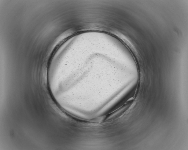 X0000114211238200911061438