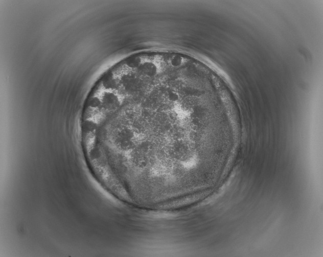 X0000114211239200911061438