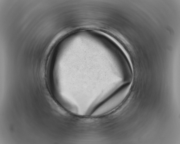 X0000114211240200911061438