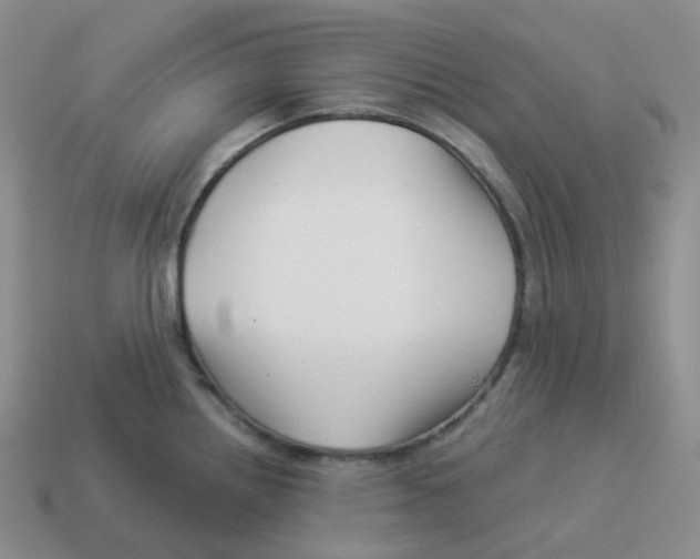 X0000114211242200911061438