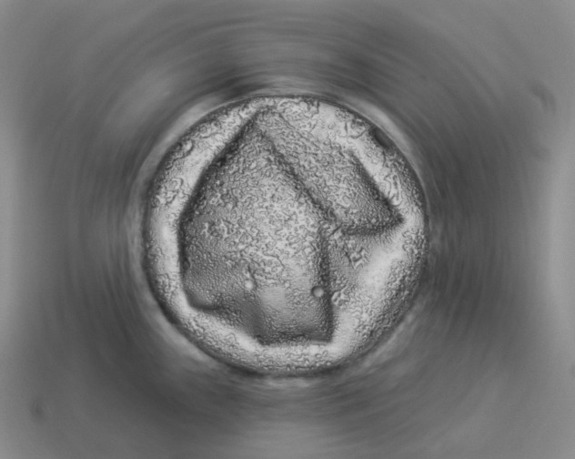 X0000114211243200911061439