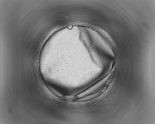 X0000114211244200911061439