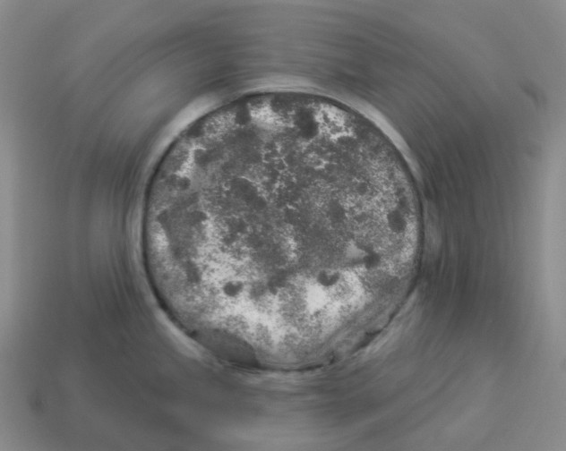 X0000114211245200911061439