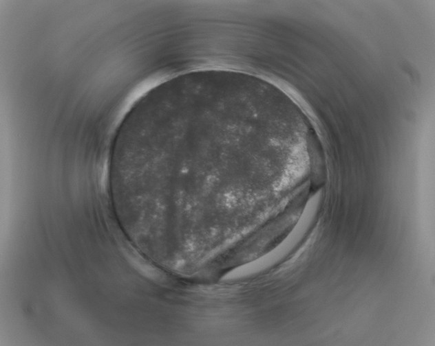 X0000114211246200911061439