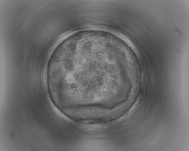 X0000114211247200911061439