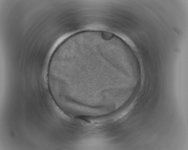 X0000114211248200911061439