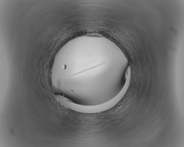 X0000114211249200911061438