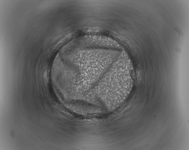 X0000114211250200911061438