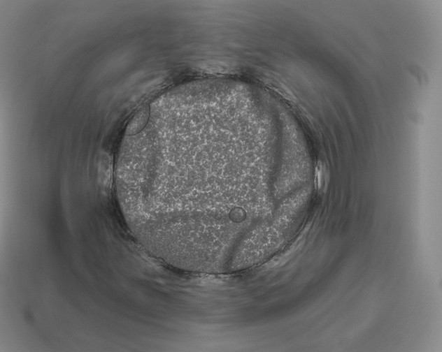 X0000114211251200911061438