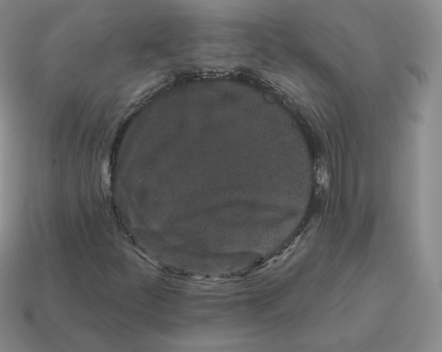 X0000114211252200911061438