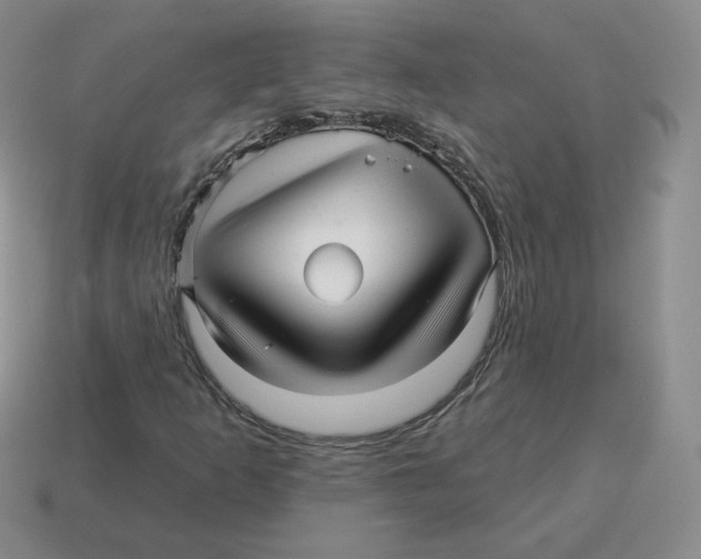 X0000114211253200911061438