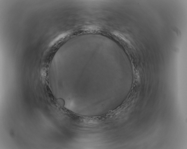 X0000114211254200911061438