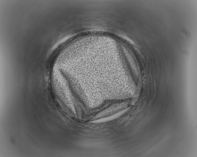 X0000114211255200911061438