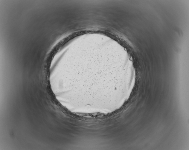 X0000114211256200911061438