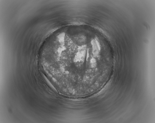 X0000114211257200911061438