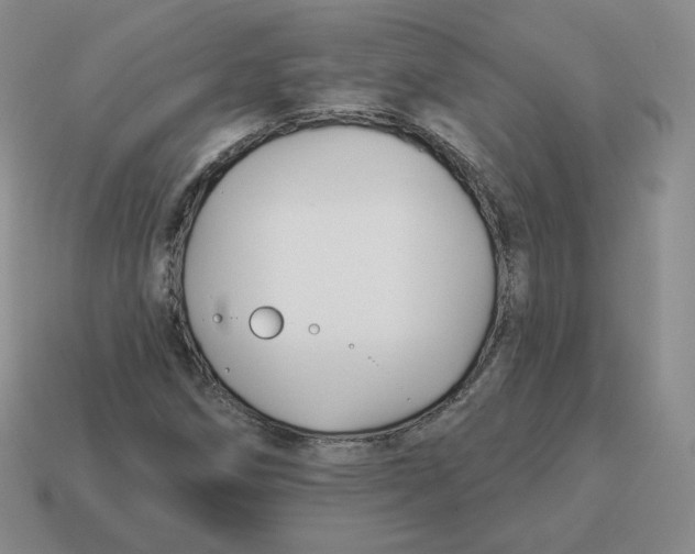 X0000114211258200911061438