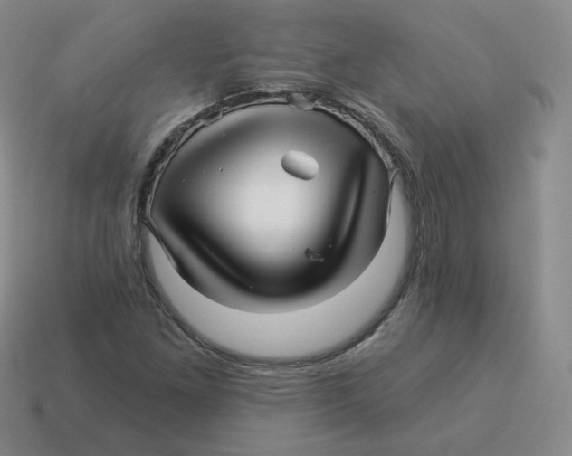 X0000114211261200911061438