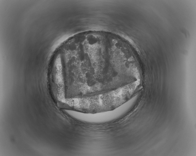 X0000114211263200911061438