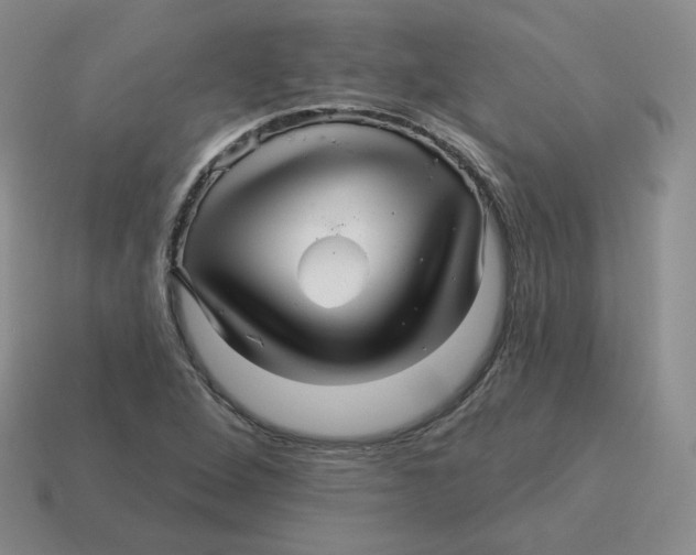 X0000114211264200911061438