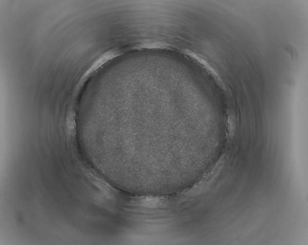 X0000114211266200911061438