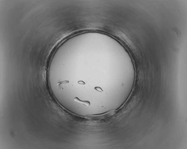 X0000114211268200911061438