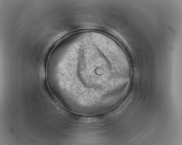 X0000114211269200911061438