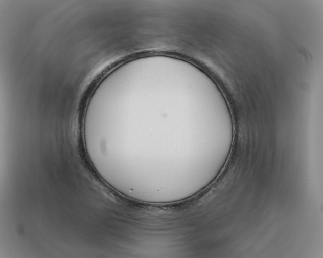 X0000114211270200911061438