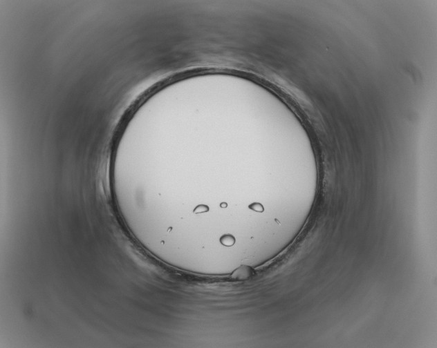 X0000114211272200911061438