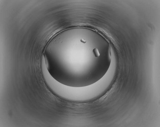 X0000114211273200911061438