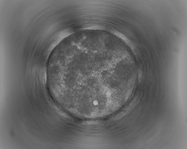 X0000114211274200911061438