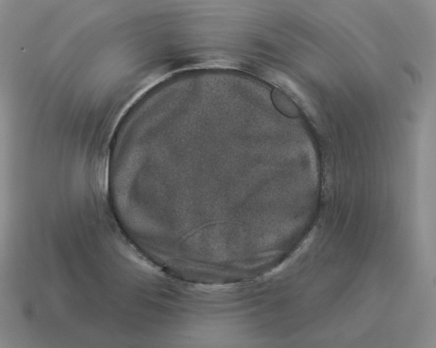 X0000114211276200911061438