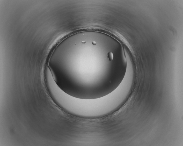 X0000114211277200911061438