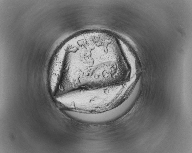 X0000114211279200911061438