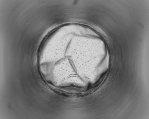 X0000114211280200911061438