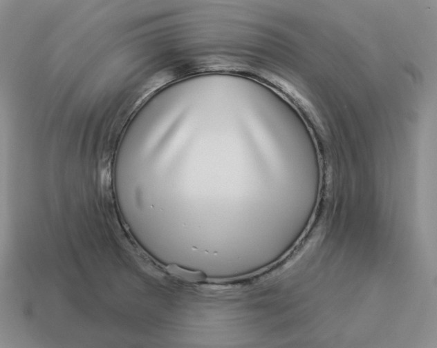 X0000114211281200911061438