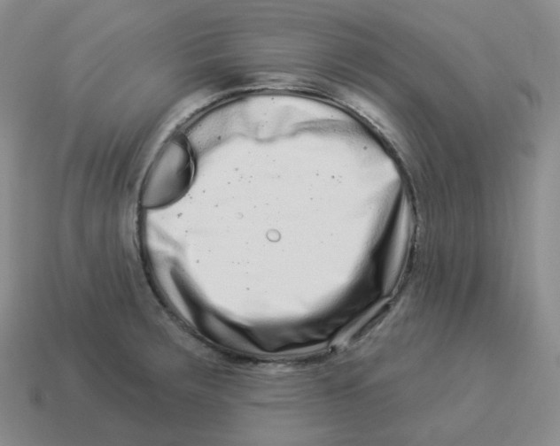 X0000114211283200911061438