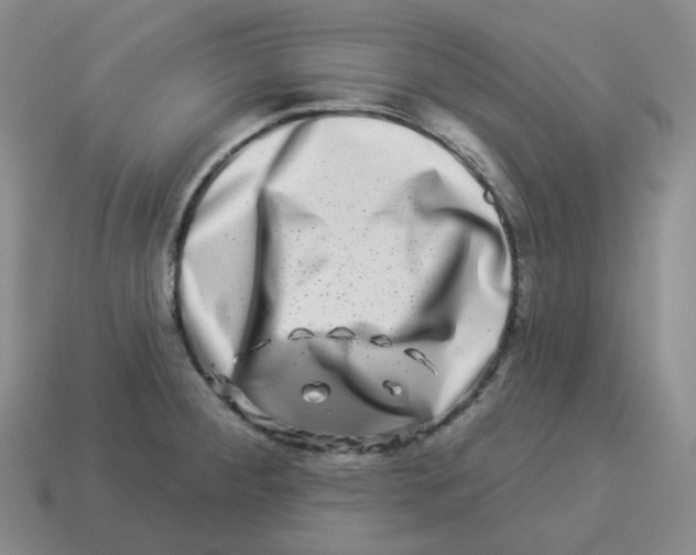 X0000114211284200911061438