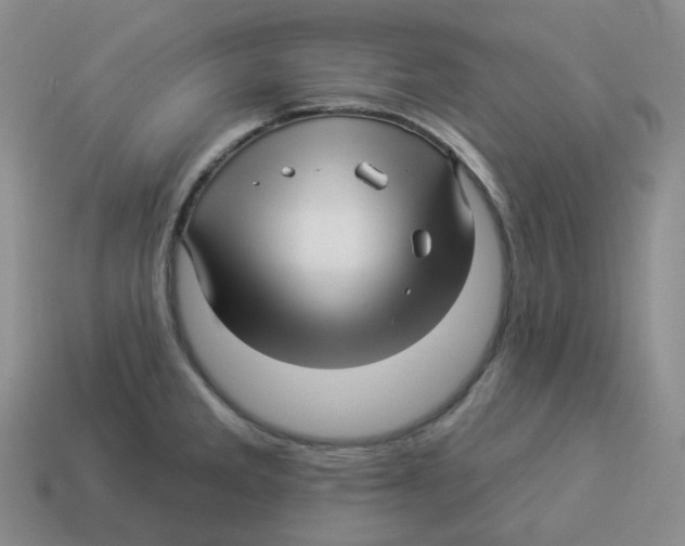 X0000114211285200911061437