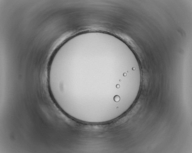 X0000114211286200911061437